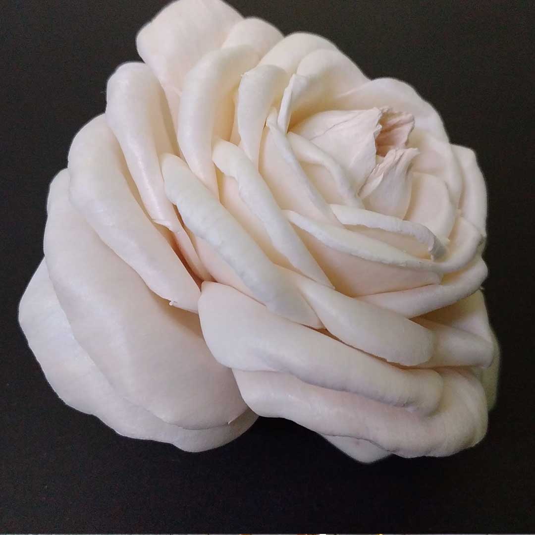 Sholapith Art and Craft